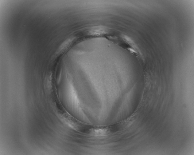 X0000066960163200603311432