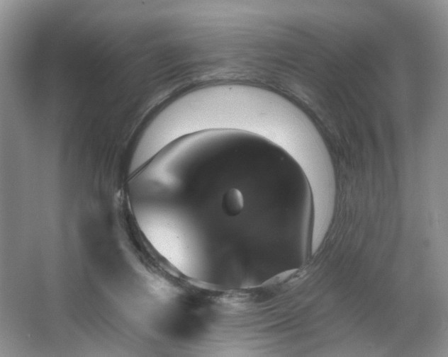 X0000066960164200603311432