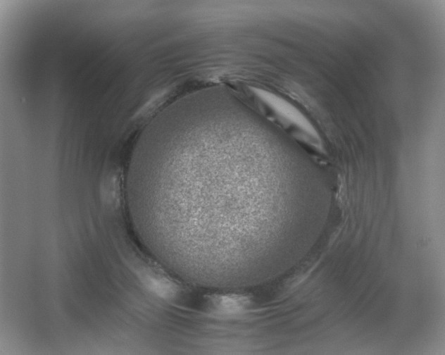 X0000066960165200603311432