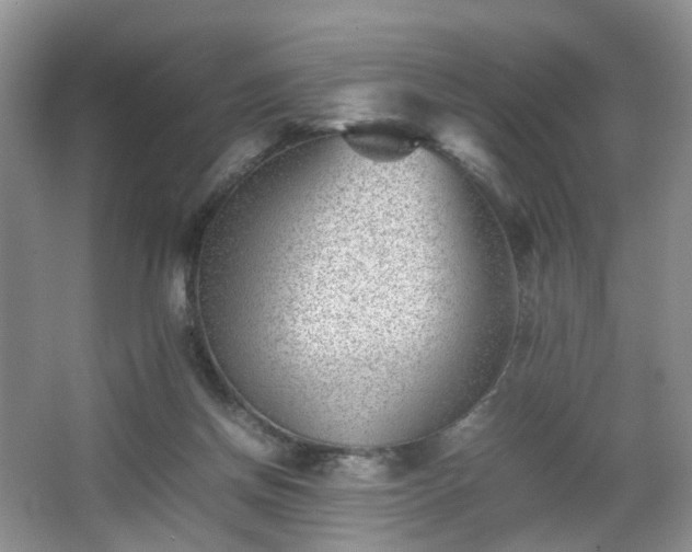 X0000066960166200603311432