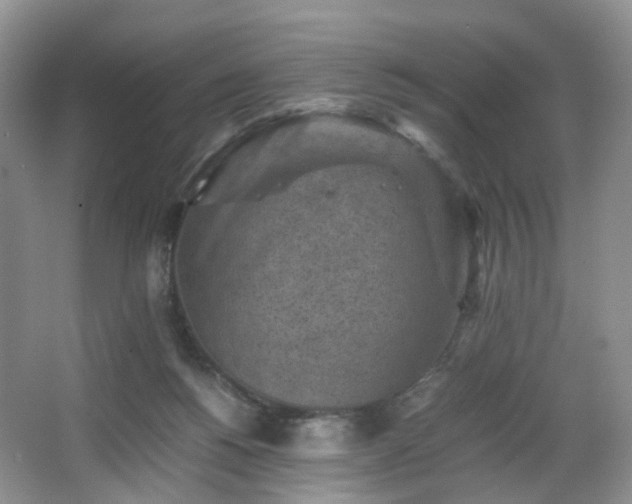 X0000066960168200603311432