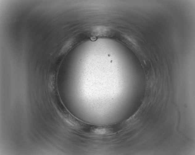 X0000066960171200603311432