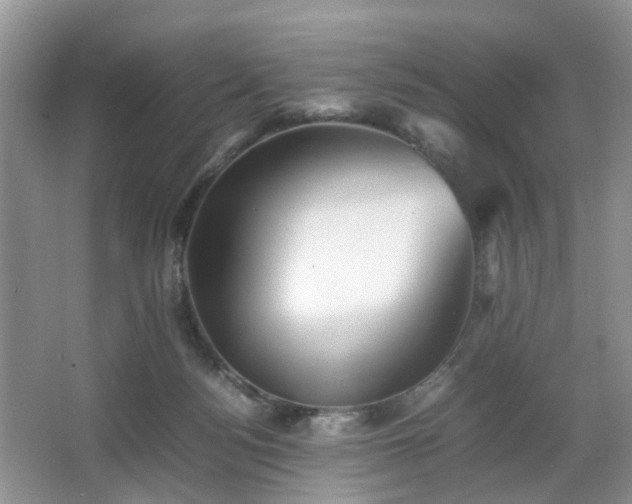 X0000066960172200603311432