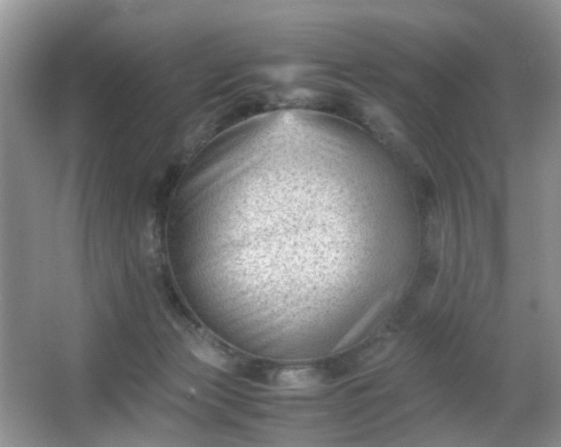 X0000066960173200603311432