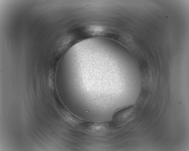 X0000066960175200603311432