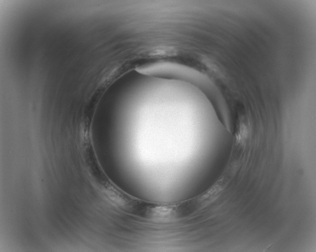 X0000066960176200603311432