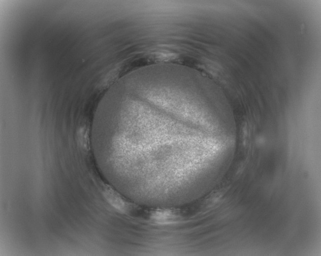 X0000066960177200603311433