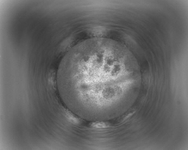 X0000066960181200603311433