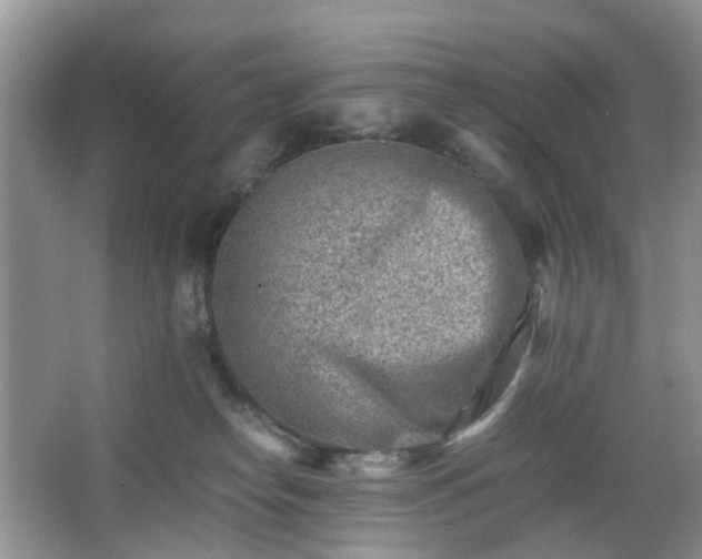 X0000066960182200603311433