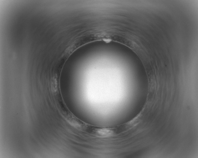 X0000066960183200603311433