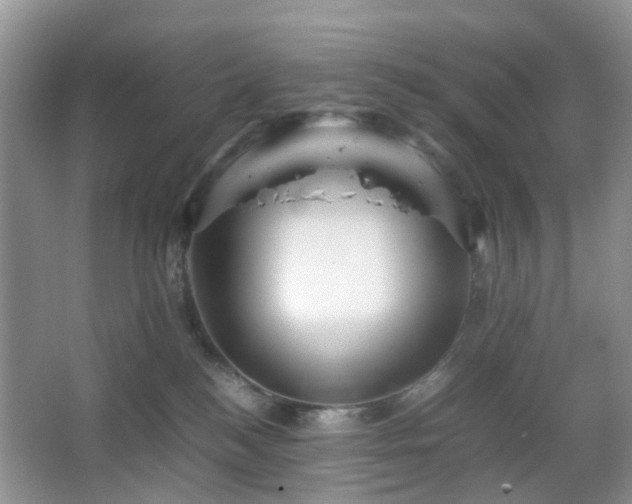 X0000066960184200603311433