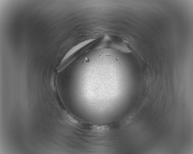 X0000066960185200603311433