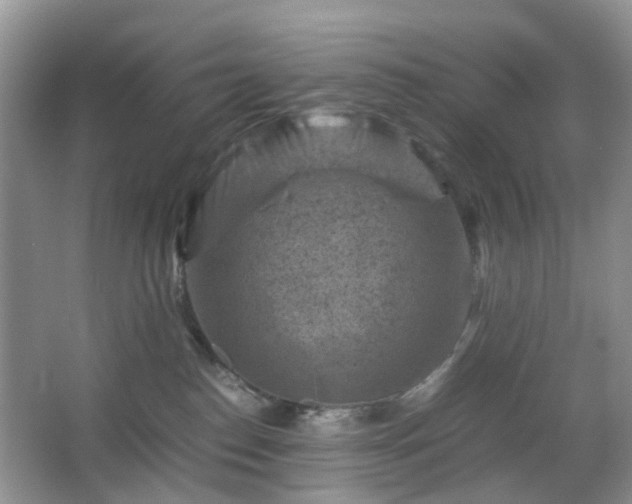 X0000066960186200603311433