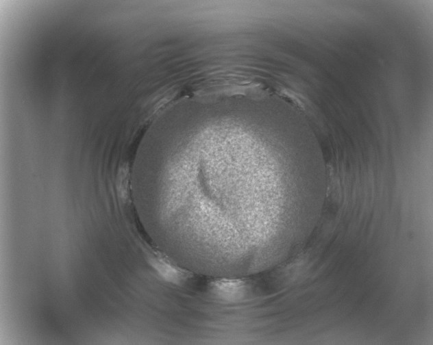 X0000066960189200603311433