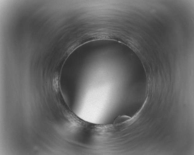 X0000066960190200603311433