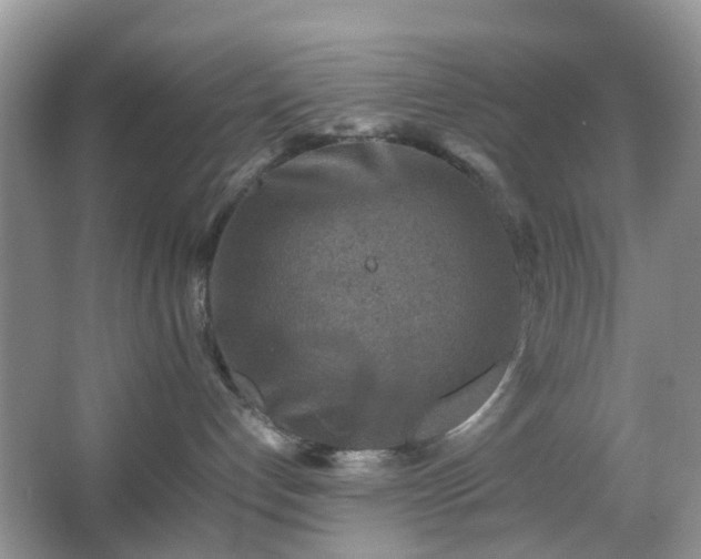 X0000066960192200603311433