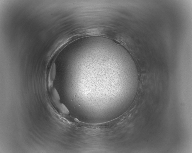 X0000066960194200603311432