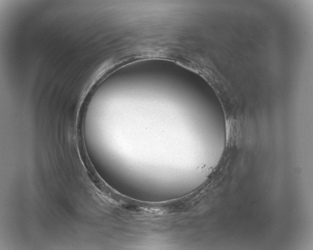 X0000066960195200603311432