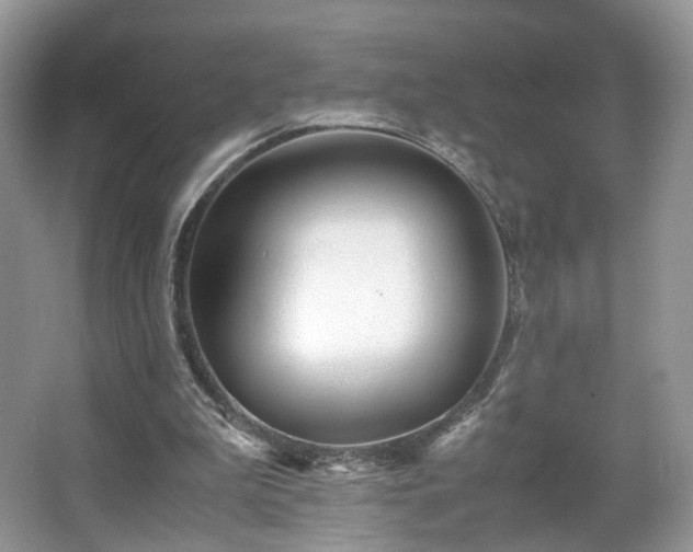 X0000066960199200603311432