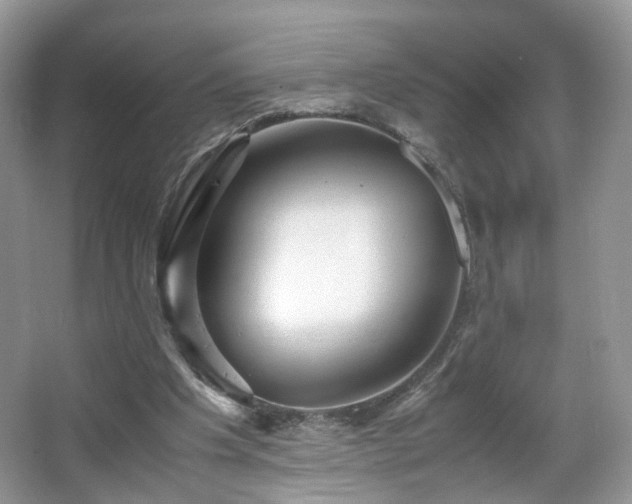 X0000066960201200603311432