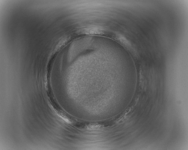 X0000066960202200603311432