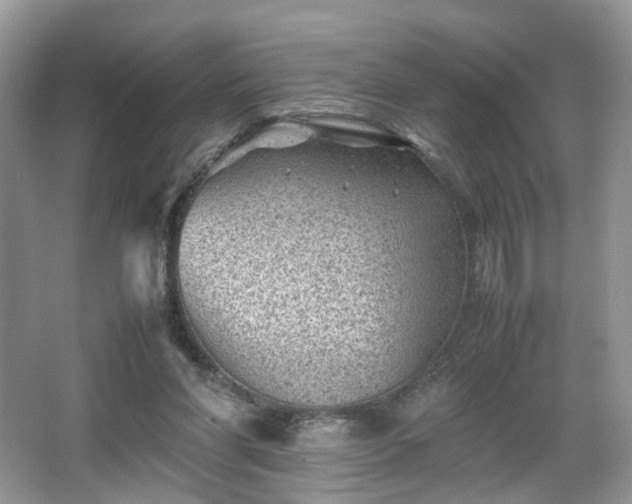 X0000066960206200603311432