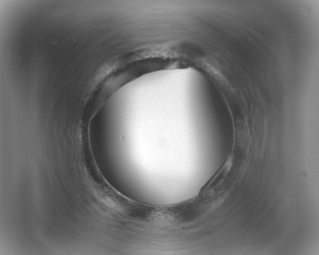 X0000066960207200603311432