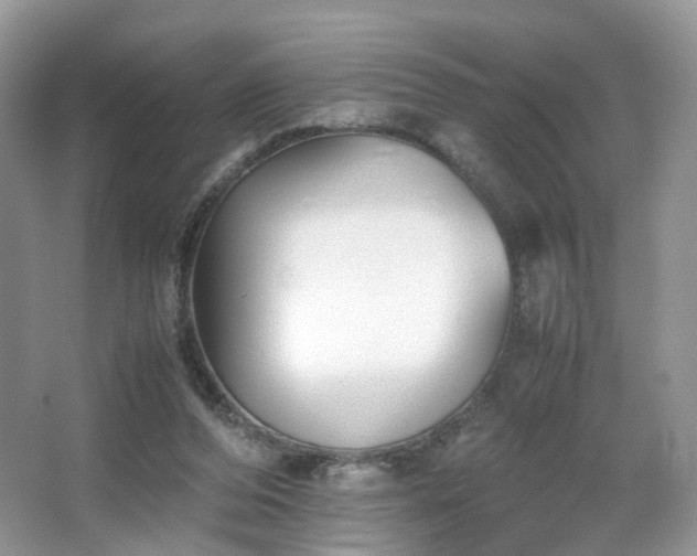 X0000066960208200603311432