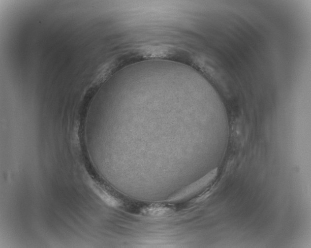 X0000066960209200603311432