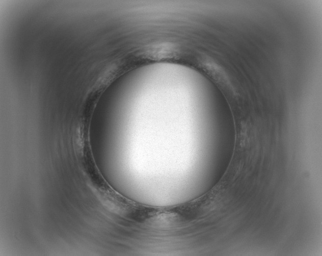 X0000066960210200603311432