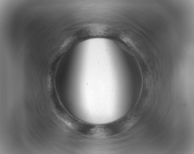 X0000066960211200603311432