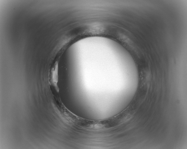 X0000066960212200603311432