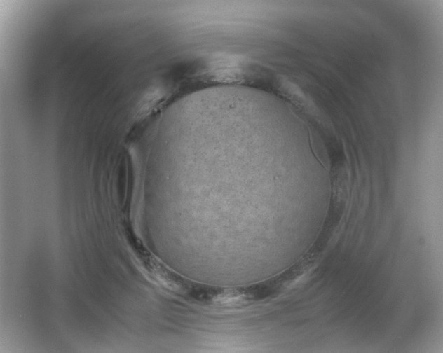 X0000066960213200603311432