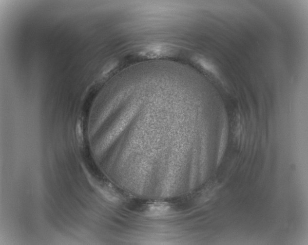 X0000066960214200603311432