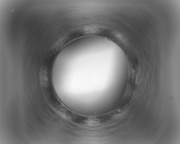 X0000066960215200603311432