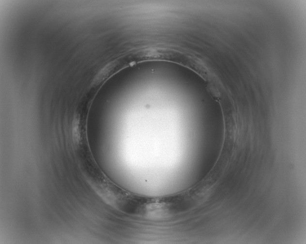 X0000066960216200603311432