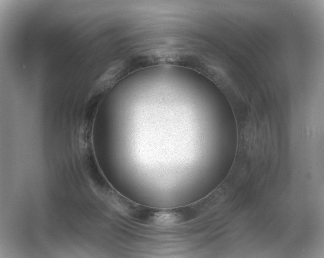 X0000066960218200603311432