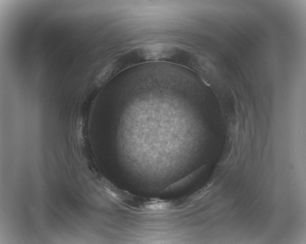 X0000066960219200603311431