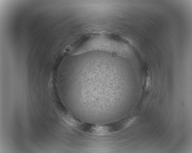 X0000066960221200603311431