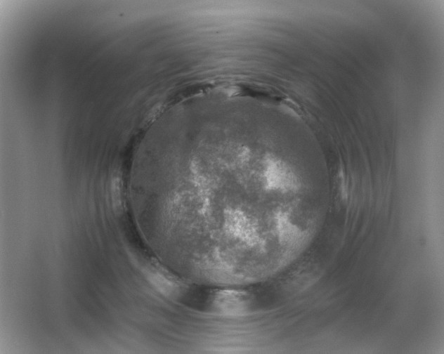 X0000066960222200603311431