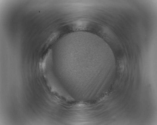 X0000066960224200603311431