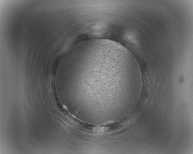 X0000066960225200603311431