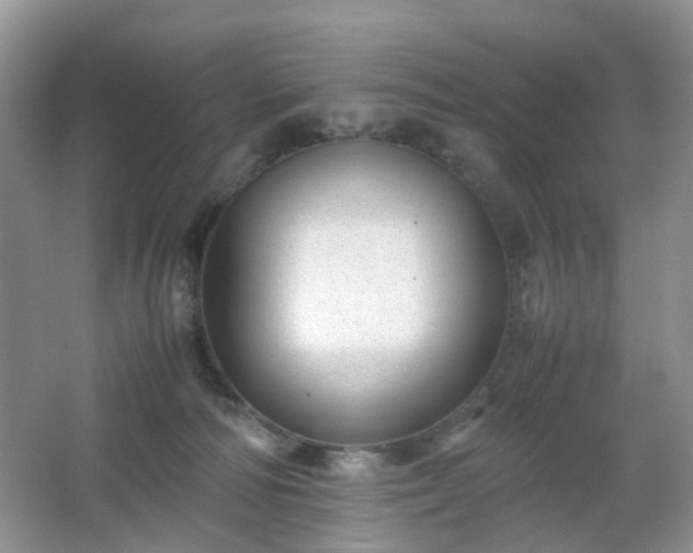 X0000066960226200603311431