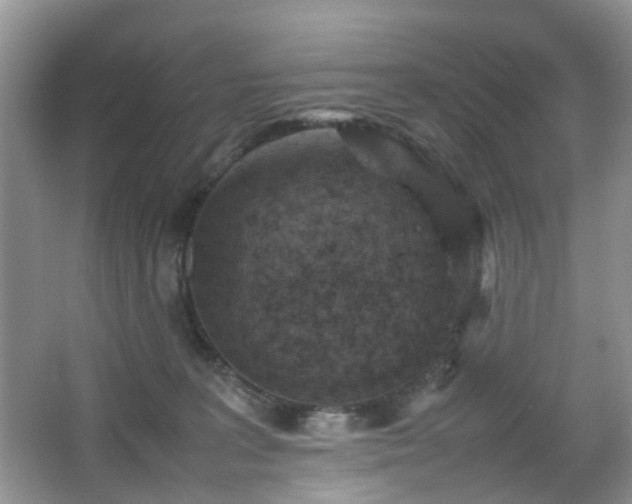 X0000066960227200603311431