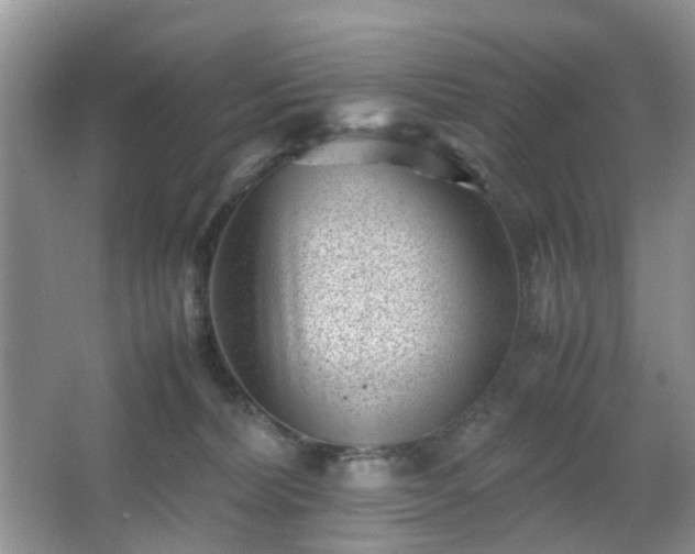 X0000066960228200603311431