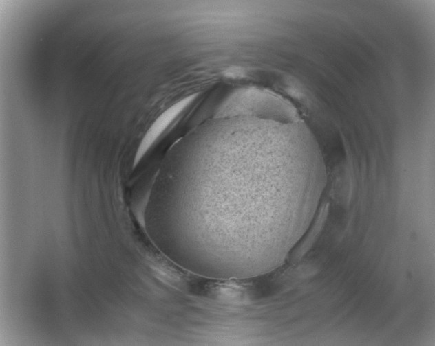 X0000066960229200603311431