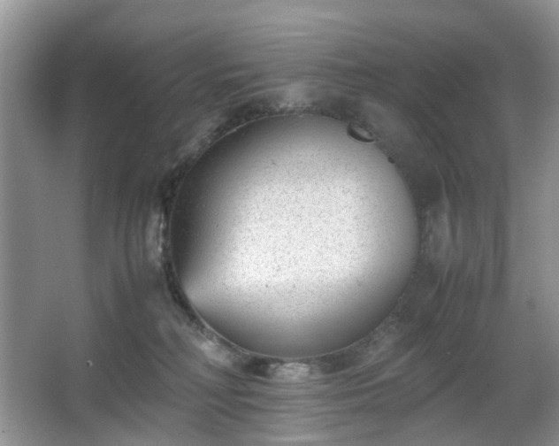 X0000066960230200603311431