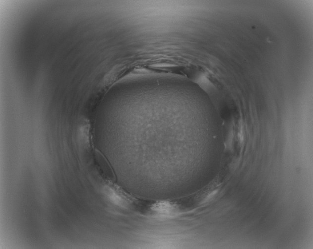 X0000066960231200603311431