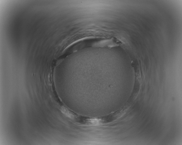 X0000066960233200603311431