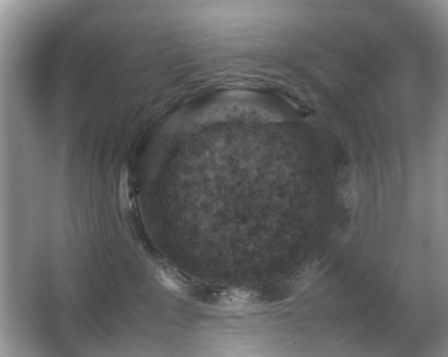 X0000066960235200603311431